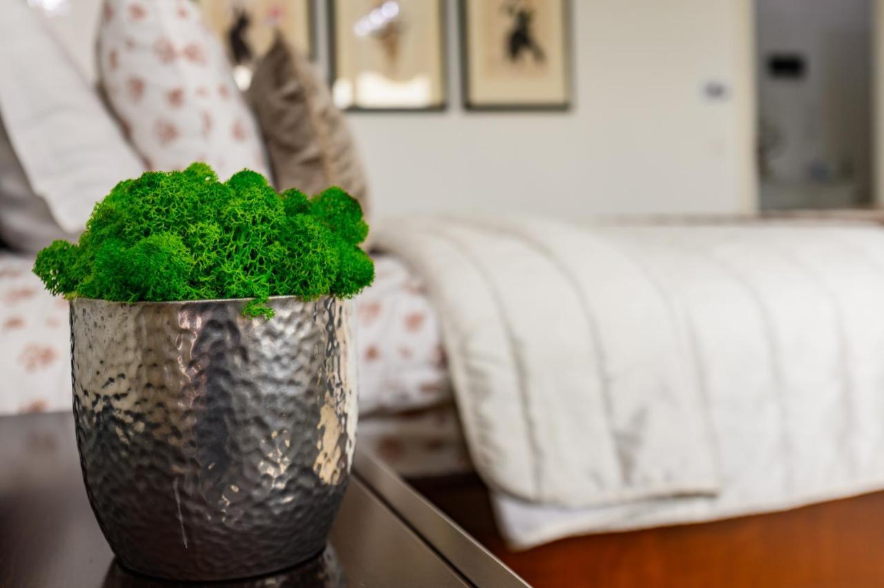 Luxury Apartment Avantgarden 3 Brasov Bagian luar foto